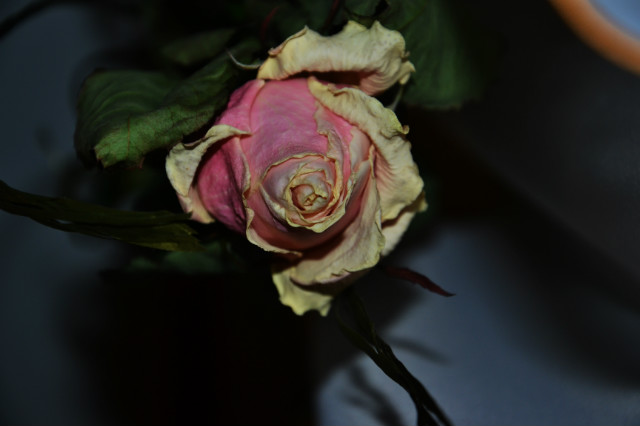 Wpis mradzikphotography