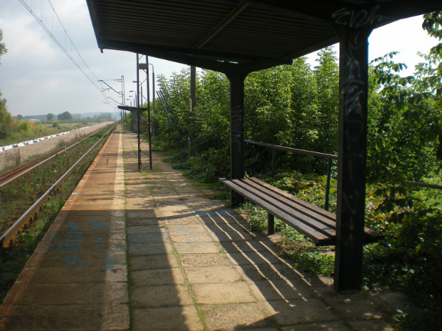to jak -
