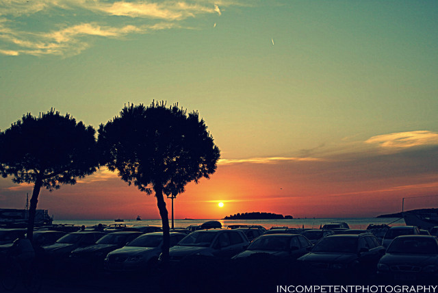 incompetentphography