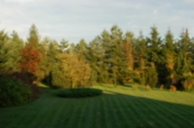Wpis gruszki