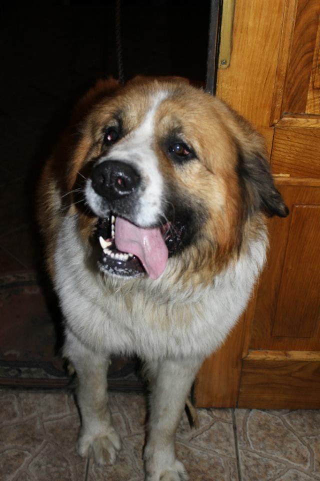 BORYS ! 