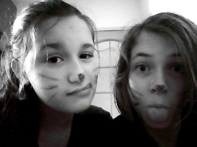 Wpis gabid