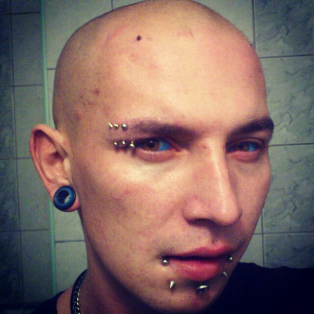 Wpis xreptilex