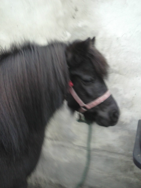 U Patki :***