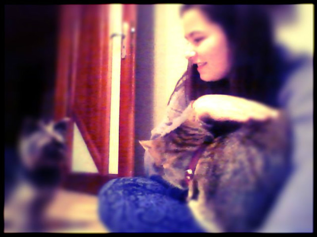 Wpis ilovedogxd