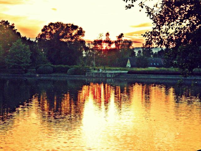 the golden rays of the sun