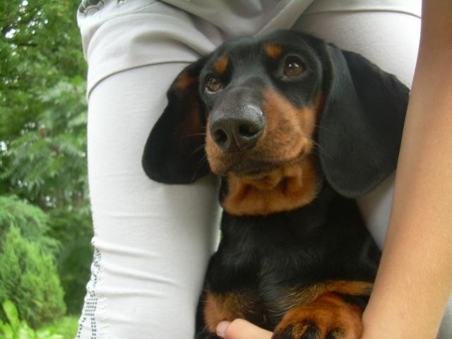 Mika