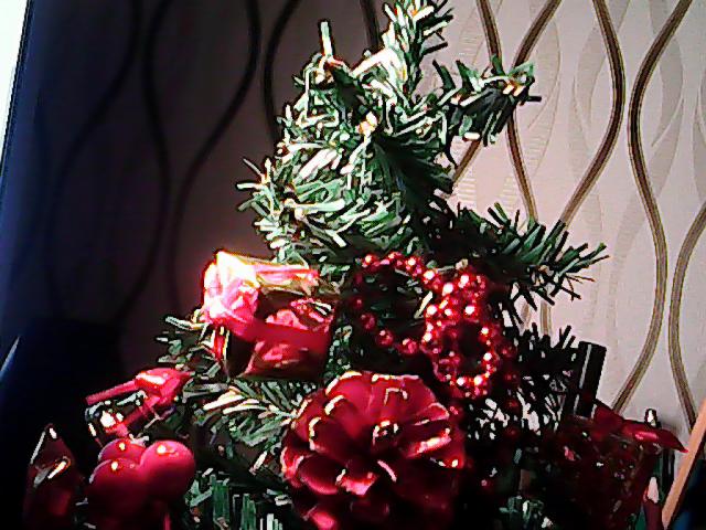 Wpis papcius