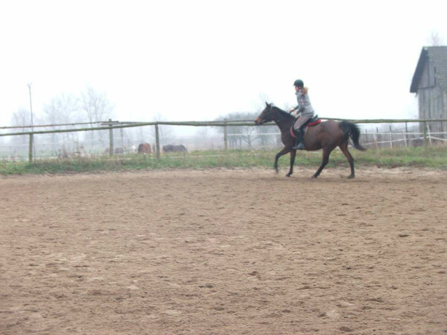 Wesoych wit :) 
