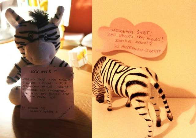 zebras lovers