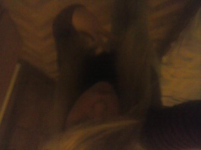 Wpis kicaam