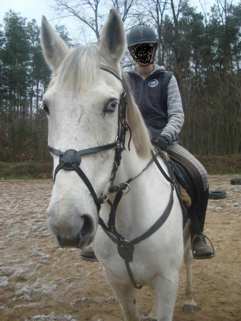 pocieszny mj