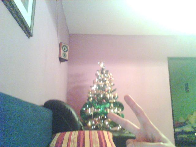 Wpis korniollekx33