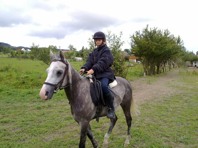 arabek 2009