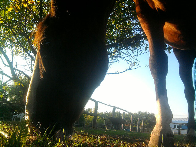 Antrakt &#9829;