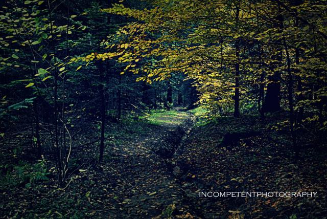 Wpis incompetentphotography