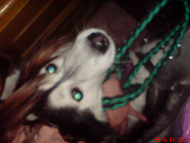 Wpis luuubisztoo