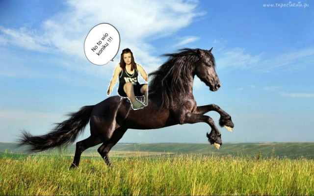 HORSE