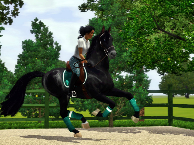 Wpis cavallosim12