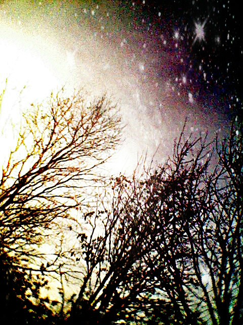 Dream is really. 