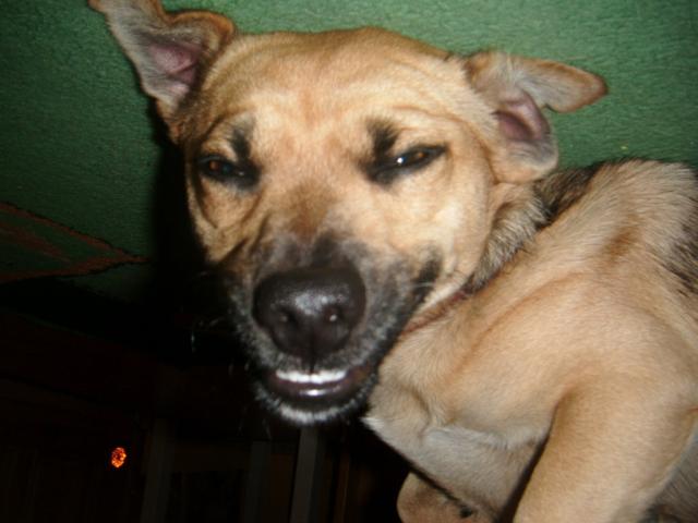 pieese ;* !