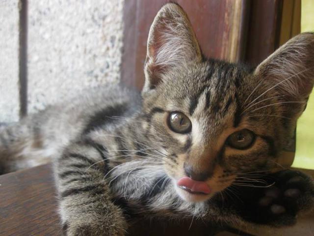 Gucio :*