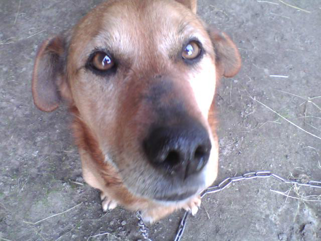 Maksio *.*