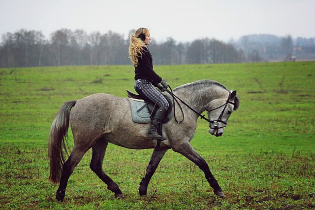Wpis chevauxamour