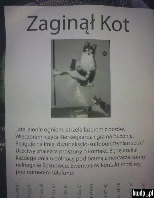 hahahahahahaha jaka beka XD