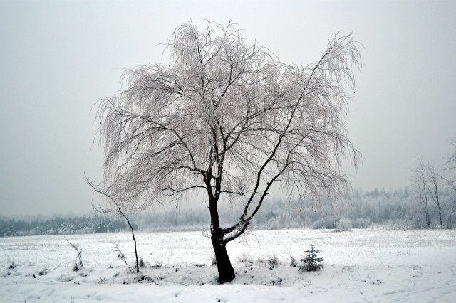 alone