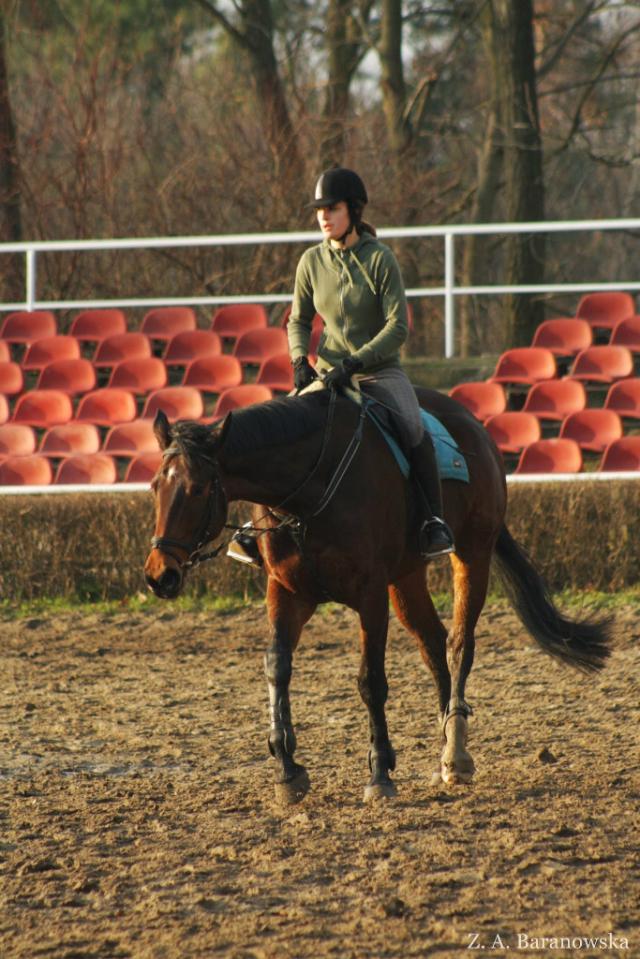 Wpis koniiara629