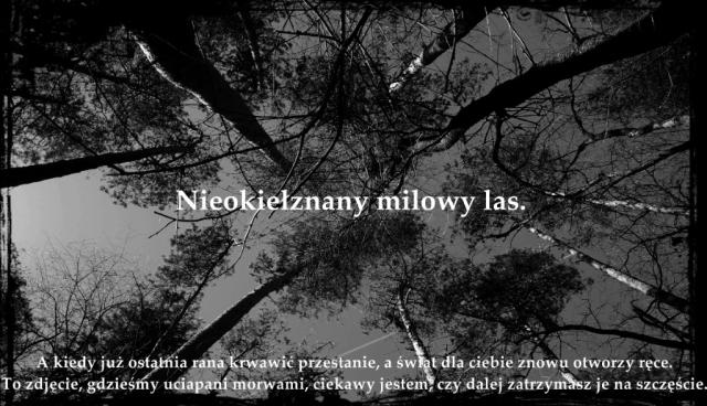 lUPKA.