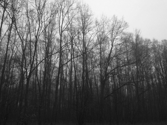 Wpis badphotographer