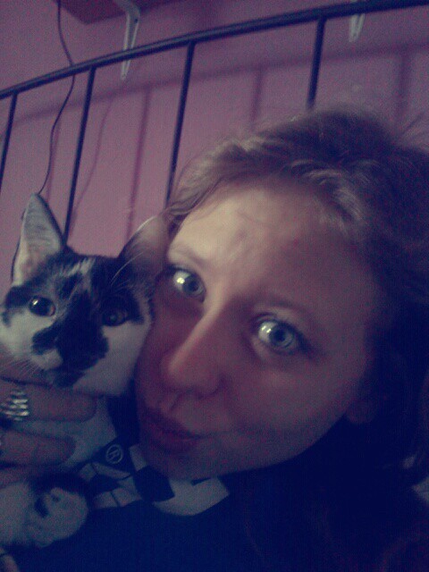 Wpis shampo