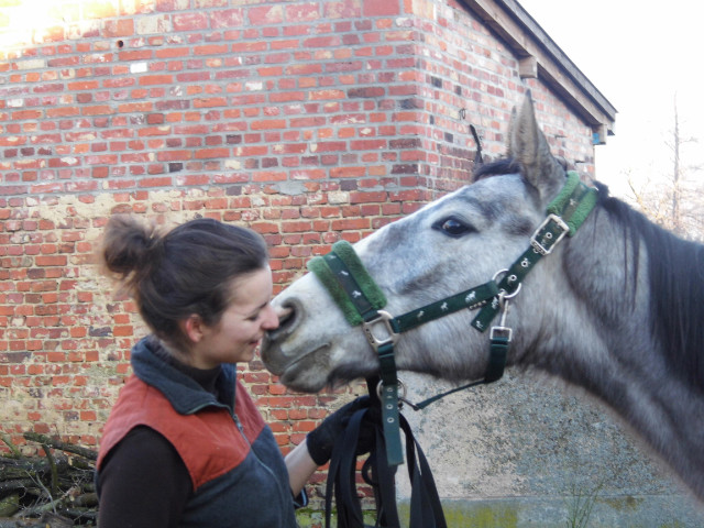 Wpis horsesthink