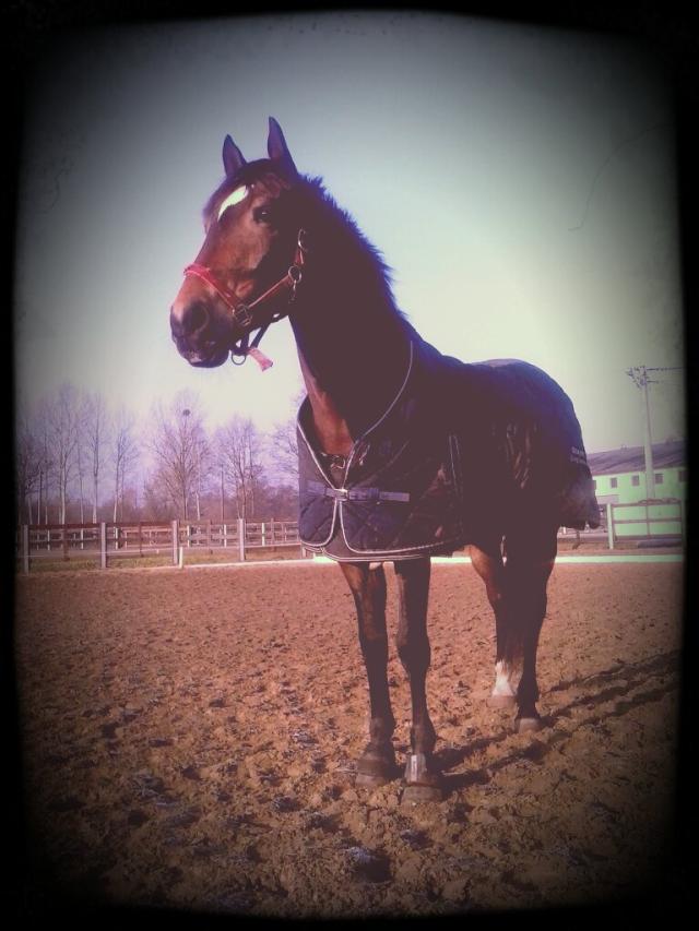 Gruby :)