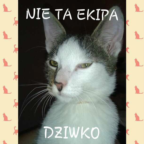 Wpis ejczesc