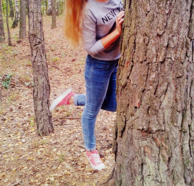 Wpis dzastiinaa