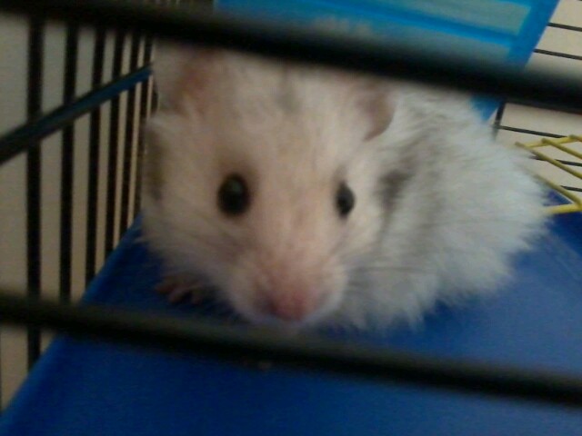 Wpis iwona9453