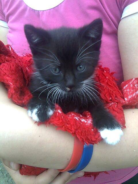 Wpis iwona9453