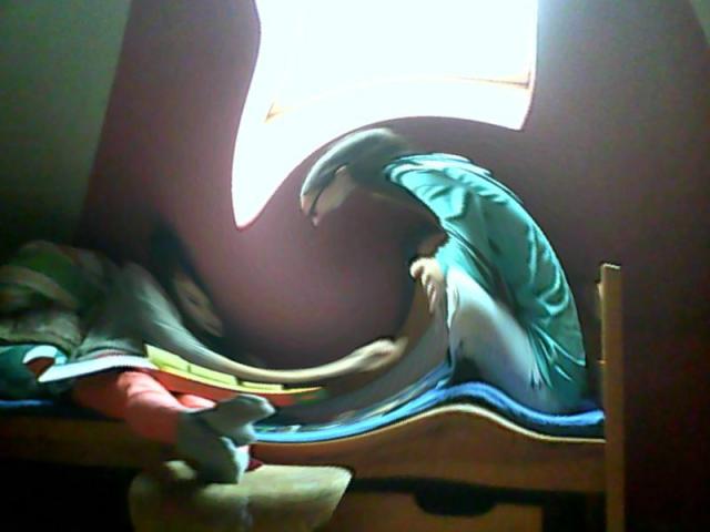 Wpis shakalakabumbum