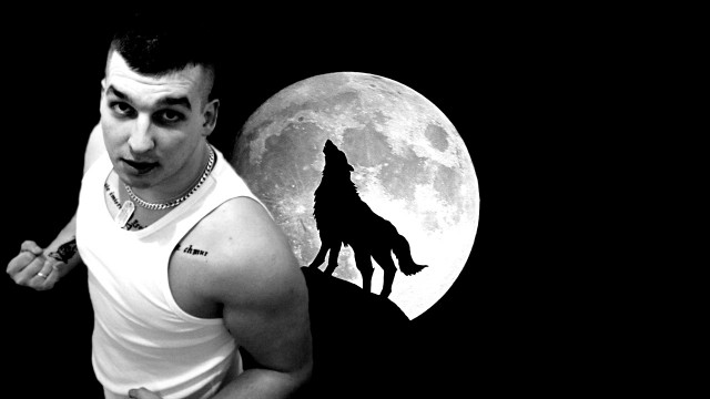 Wolf Live 1