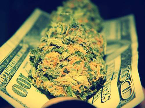 LOVE HAZE 