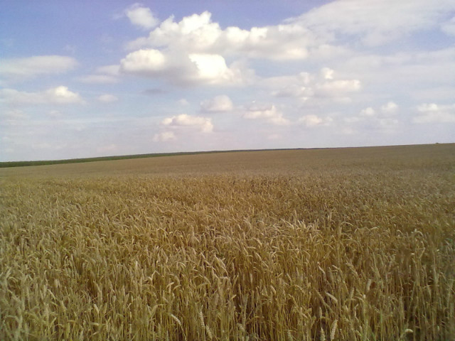 Wpis katarzynakaczmarek1