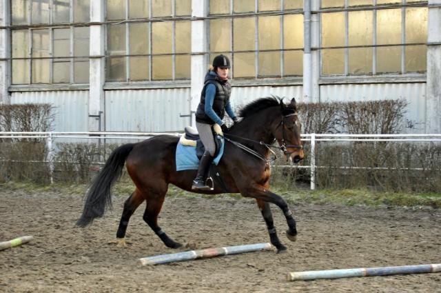 Wpis koniiara629