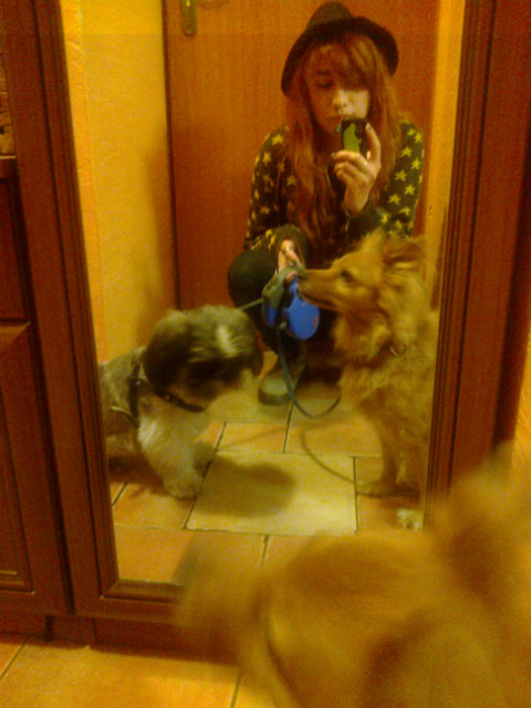 Wpis caffeinee