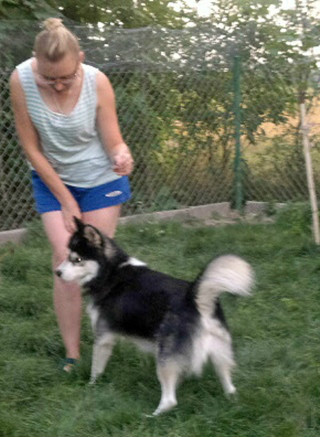 Nauka