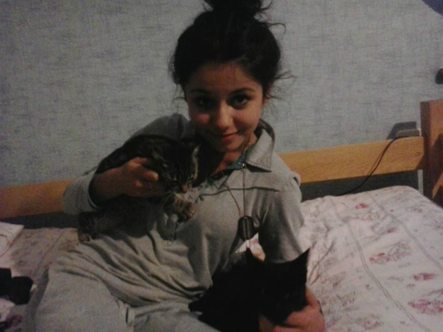 my cats