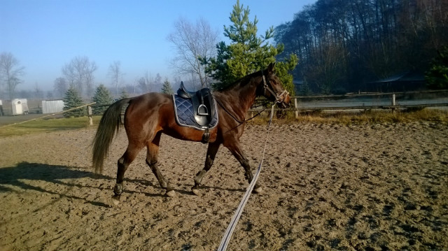 grudzie 2013