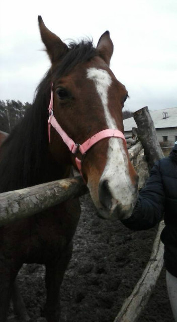 Nowe cacko Baaajki